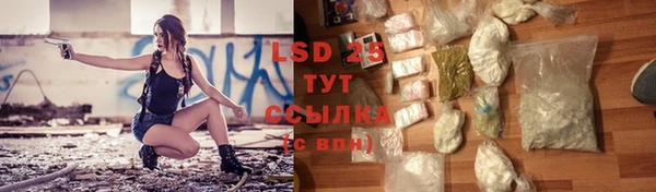ПСИЛОЦИБИНОВЫЕ ГРИБЫ Арсеньев