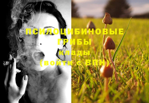 молекула духа Армянск