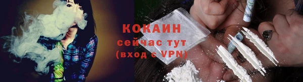 ПСИЛОЦИБИНОВЫЕ ГРИБЫ Арсеньев