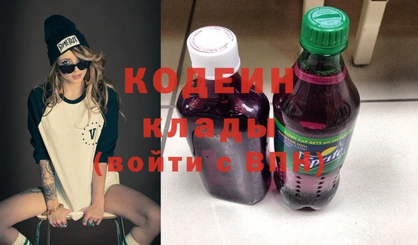 ПСИЛОЦИБИНОВЫЕ ГРИБЫ Арсеньев