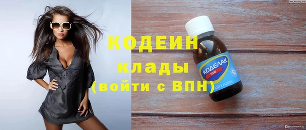 крисы Лабытнанги