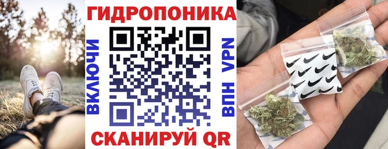 Шишки марихуана MAZAR  как найти   mega ссылка  Новосокольники 